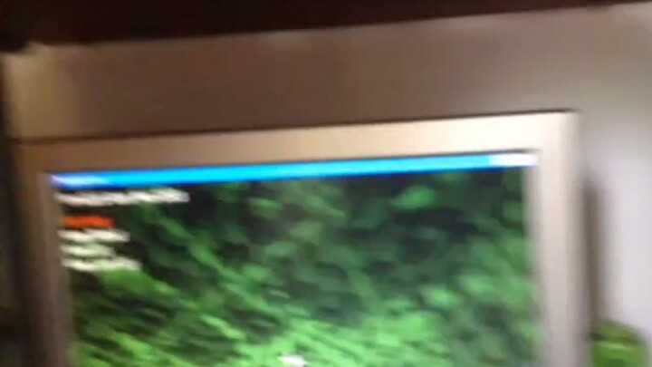 The Mc video my grandma recorded for me ten years ago