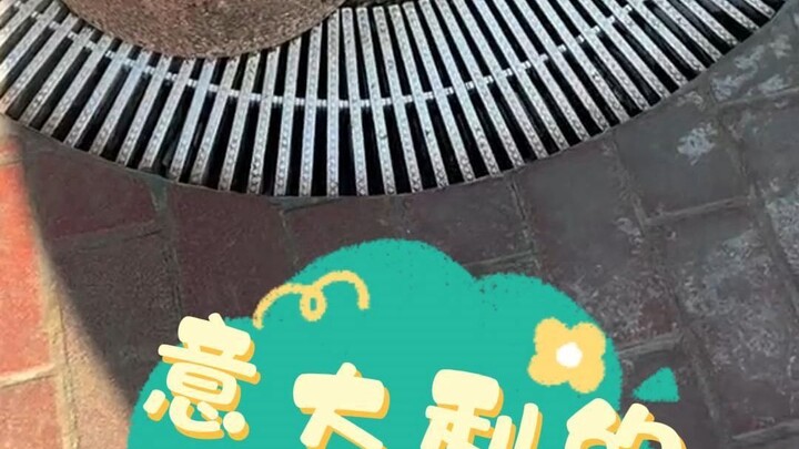 意大利的公共服务很细致