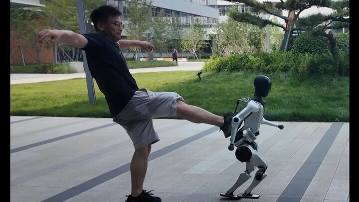 Robot diculik ke dalam kompleks dan dipukuli