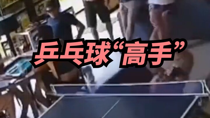 【Brother Xi】As soon as these table tennis “masters” make a move, you can tell they’re no ordinary pl