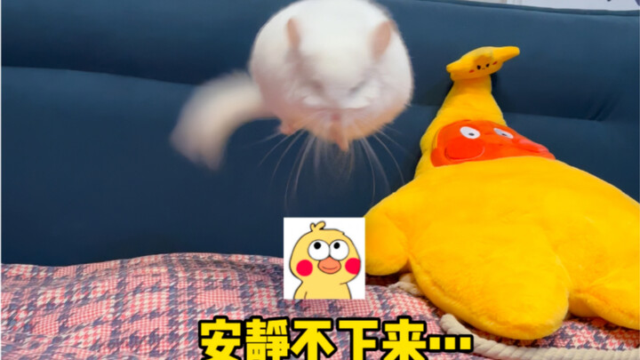 Can you really touch the little Totoro as it takes off?!