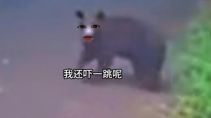 Xiong: How do you sell apples?