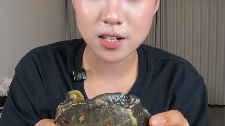 【Huệ Huệ Bão Bão A】Video mới nhất đã lên sóng, mau vào xem ngay!