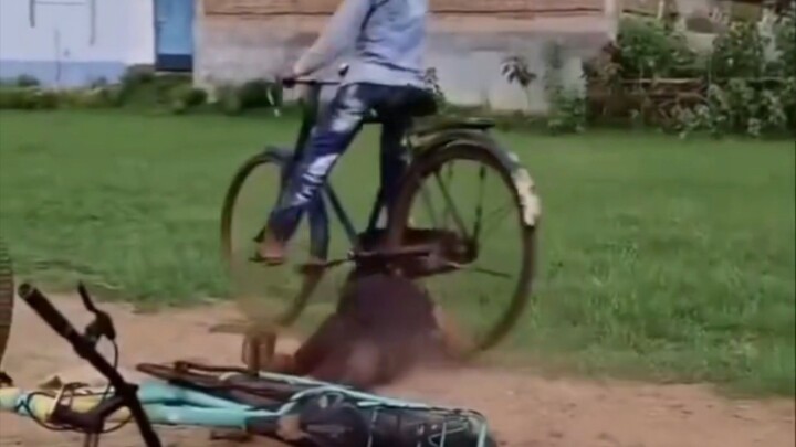 rider videos funny 🤣