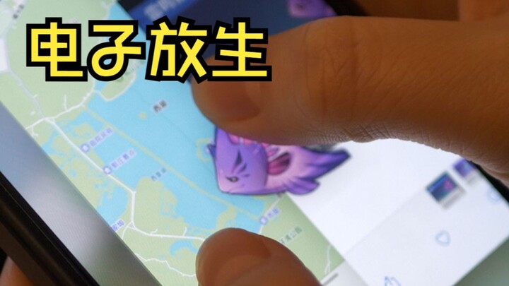 原神放生 积赛博功德