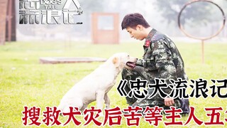 零八年汶川地震中的英雄搜救犬，灾后苦苦等待主人五年，终得重逢
