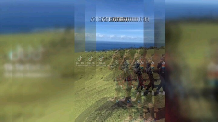 ate