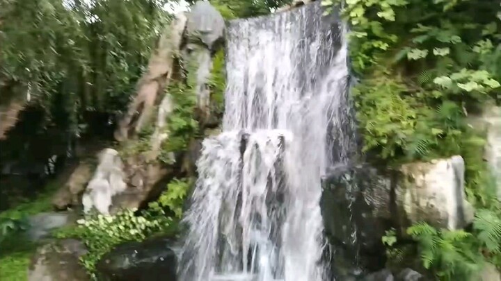 Kolam Ikan (1)