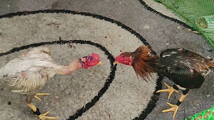 Dumayo tayo ng Dance Practice.