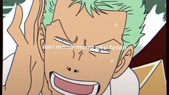 zoro mau gimanapun tetap ganteng🖤