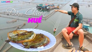 Ăn Bánh Khoái Cá Kình trên Đầm Chuồn cực đẹp | DU LỊCH HUẾ