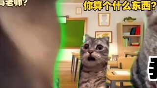 【Cat meme】Faced with a double-standard teacher, I bravely fought back! (Part 1)