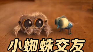 Spider-Man Lucas shares tips on how to make new friends quickly