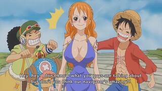 Luffy & Nami share a few wholesome moments