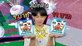 สุ่มไอดีไก่ตันโมจิตื่น 9บาท VS 99บาท จะโดนโกงหรือป่าว Blox Fruits