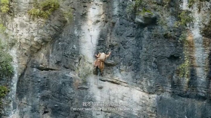 🐼