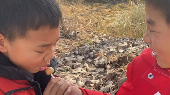 Makan permen aja sampai ngotot banget