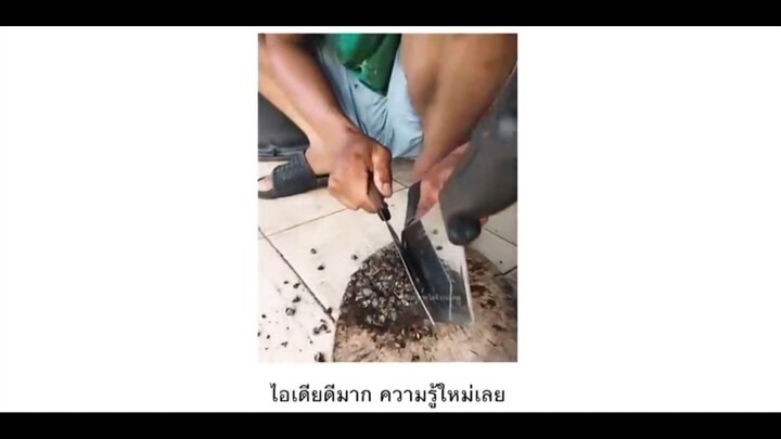 ไอเดียดีมาก ความรู้ใหม่เลย