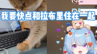 猫 瘾 犯 了【星汐Seki】