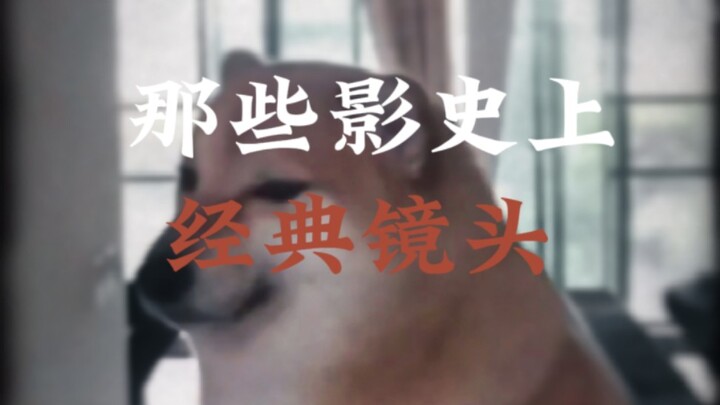 ″Những cảnh quay khó ai vượt qua trong lịch sử điện ảnh”