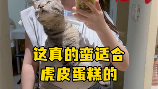 นี่เหมาะกับเค้กหนังเสือจริงๆ เลย