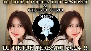 DJ DULU PUTUS ITU MAU MU x CICIRA CIRO x PIPI MIMI || DJ TIKTOK VIRAL TERBARU 2024