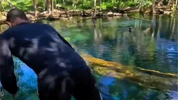 Official reminder: Stay cheerful, and good luck for your summer is on its way—check your inbox soon!