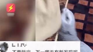 A year after a Henan woman lost her mobile phone, it was located in the Middle East, and the video s