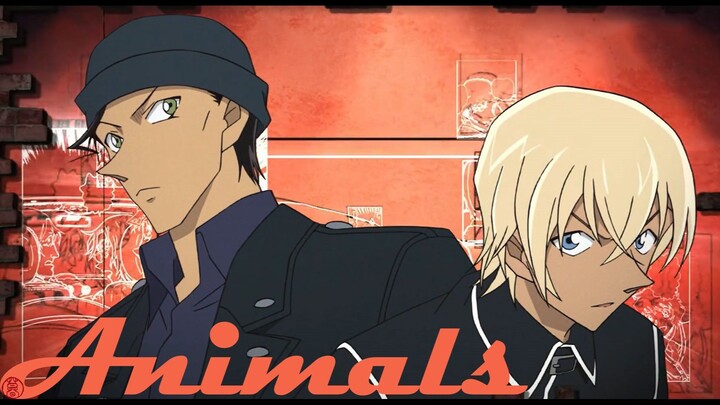 【名侦探柯南】Animals（赤安）