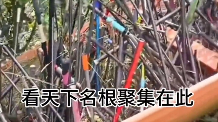 Bertemu para pemancing sejagat, memutuskan semua joran di dunia!