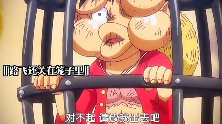 “Straw Hat Crew bounty list revealed, the most badass one locked in a cage”
