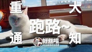 【重大通知】跑路~但是没完全跑