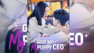 [Sub Indo] Good Boy, MY Puppy CEO | Lin Qi Ting & Wang Chao Chao | Short Drama China Sub Indo