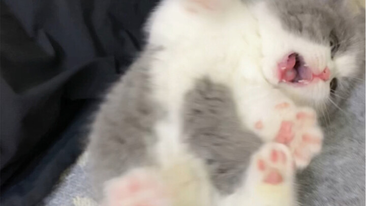 我好像碰到它痒痒肉开关了