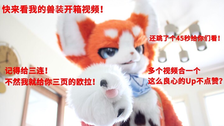 【Fursuit】Fursuit-nya akhirnya sampai! Video tiga dalam satu: unboxing fursuit Rui Shou, pameran, dan