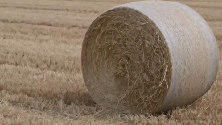 एक छिपा हुआ बंकर, क्रिस्टल जैसी साफ झरनों के बीच… क्या तुम उसे ढूँढ सकते हो? 💎🌊#रहस्य #झरना