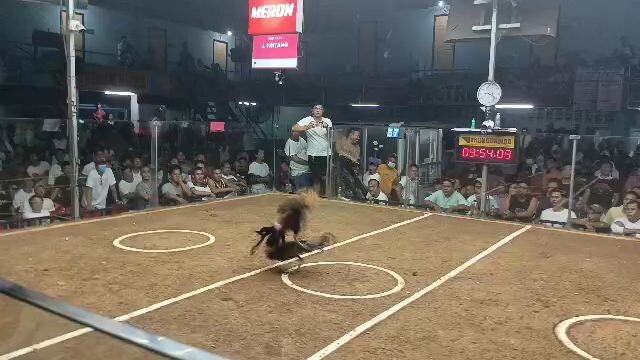 2× winner fastest kill nanaman ulit