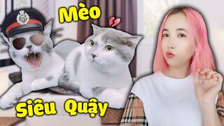 REDHOOD VÀ MỀU BÓC PHỐT CON CƯNG MÈO THÁI TỬ VÀ MÈO HOÀNG TỬ SIÊU QUẬY PHÁ*CẶP ĐÔI SIÊU QUẬY*TX VLOG