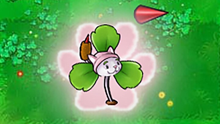 New Plant: Cat's Tail Clover