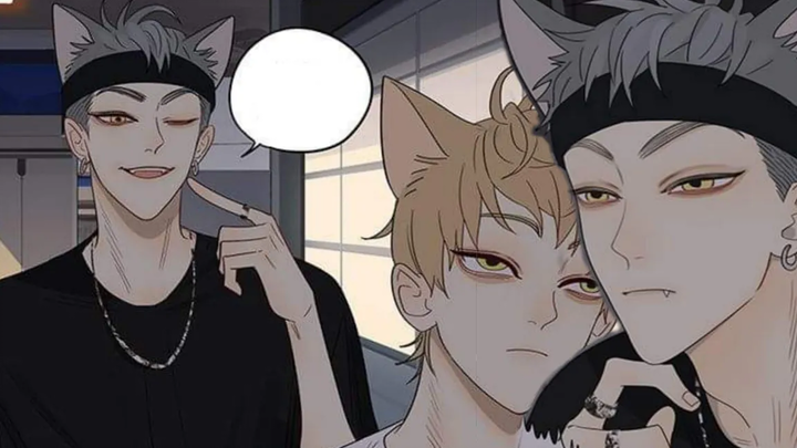 การ์ตูนYaoi TOM&TOMแมว Comic (พากย์ไทย) ห้ามพลาด!!