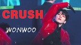 211217 - 'Crush' | Seventeen Wonwoo Fancam