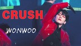 [211217 SEVENTEEN/Fancam] Focus WONWOO 'CRUSH'