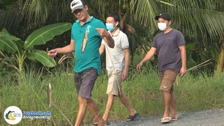 [Phần 2] CÁ LÓC HẤP MƯỚP - MÓN ĂN MIỀN QUÊ | Hội Ngộ Miền Tây - Tập 574