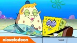 SpongeBob | Squidward menemukan buku harian rahasia SpongeBob | Nickelodeon