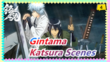 [Gintama] [Katsura Scenes 46] EP308-316: Meet Shinsengumi Again_4