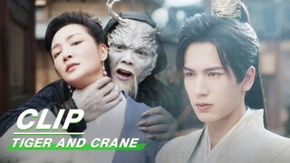 Qi Xiaoxuan Decisively Eliminates Demons | Tiger and Crane EP01 | 虎鹤妖师录 | iQIYI