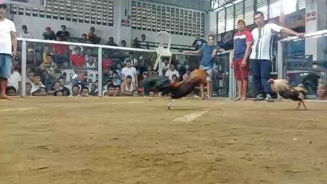 Gilmore/Boston -DRAW
