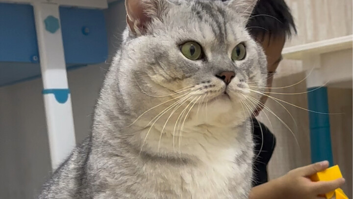 Everyone wants to see Dazhuang get moving