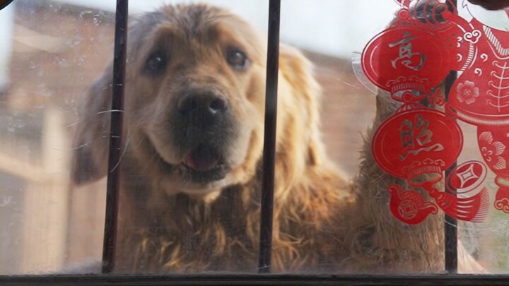 I just put up the Spring Festival couplets!!!