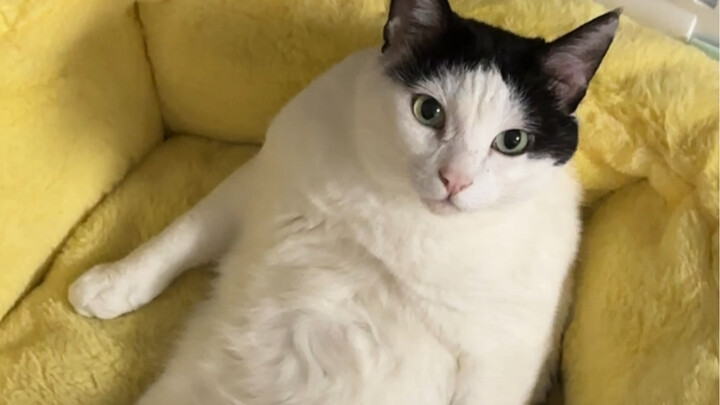 أضحكني كثيرًا، ولا تزال تعرف كيف تُحجب! هههههه